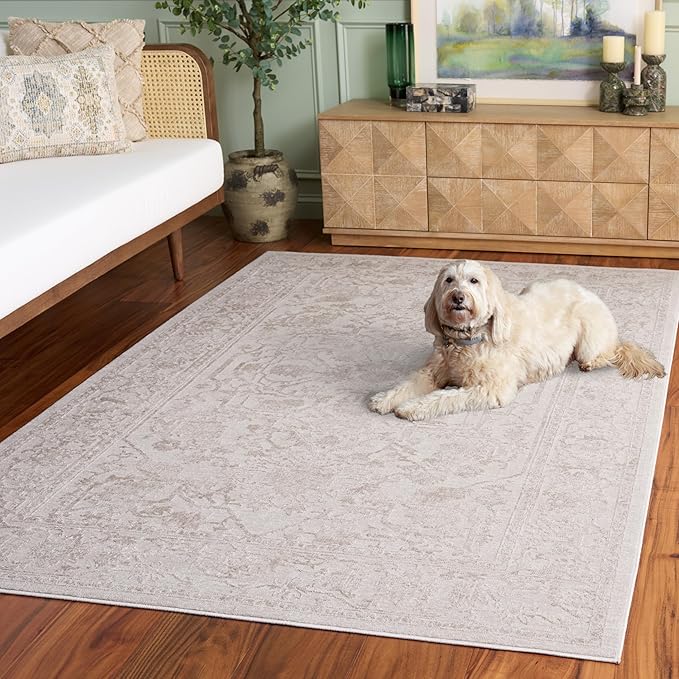 SAFAVIEH Area Rug 6x9 - Reflection Collection - Cream & Ivory, Non-Shedding & Easy Cleaning, Ideal for Living Room, Bedroom (RFT665D)