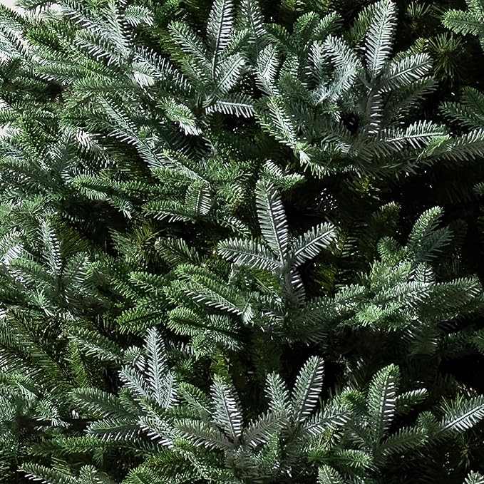 Balsam Hill European Silver Fir - Elegant Artificial Christmas Tree with True Needle Foliage Available Unlit or with LED Clear Lights, Unlit, 5'