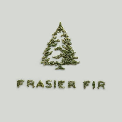 Thymes Frasier Fir Candle - Heritage Pine Needle Luminary Scented Candles - Elegant Pine Candle - Crisp Siberian Fir, Cedarwood & Sandalwood - Holiday Candles - Christmas Decor (Medium, 11.5 oz)