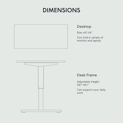 FLEXISPOT EN1 One-Piece Adjustable 60 x 24 Inches Stand Up Desk Workstation Electric Standing Desk with Seamless Desktop (Silver Frame + 60 inches Black Top, 2 Packages)