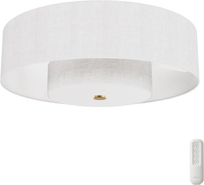 Hunter - Brookside Indoor Fandelier with Light, Remote, 30-inch, Casual-Style, 3-Speed WhisperWind Motor, 52974, Ceiling Fans for Living Rooms, bedrooms, Home Offices, Kitchens (Luxe Gold)