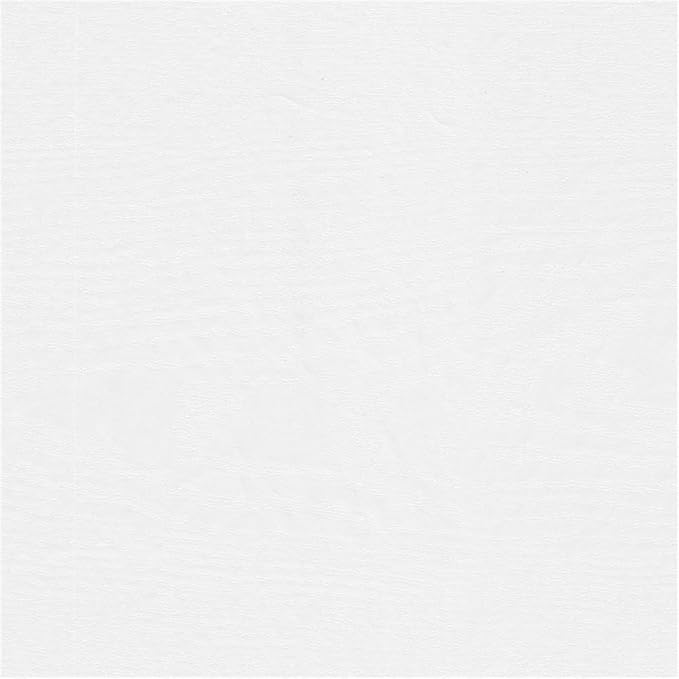 Bush Furniture Westbrook 60W Computer Desk with Hutch in White Ash | Farmhouse Desk for Home Office Workspace