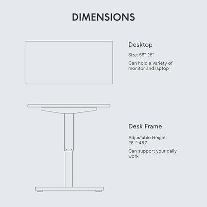 FLEXISPOT EN1 One-Piece Standing Desk, 55 x 28 Inches Stand Up Desk Workstation with Seamless Desktop Board (Silver Frame + 55 inches White Top, 2 Packages)