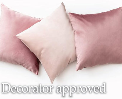 lalaLOOM Velvet Throw Pillow Covers, Set of 2, 20x20 Decorative Square Pillows Home Decor, Soft Accent Cases, Silky Machine Washable Pillowcases for Sofa, Couch, Bedroom, Living Room, Taupe