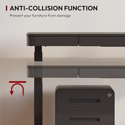 Standing Desk with Drawer, Electric Height Adjustable Home Office Desk with Storage & USB Ports, 48 inch Black Wood Tabletop/White Frame
