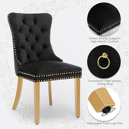 Velvet Upholstered Dining Chairs Set of 2, Modern Style Kitchen Side Chairs with Nailhead Trim and Gold Plated Leg, Metal Pulling Ring for Dining Room Living Room(Black,Set of 2)