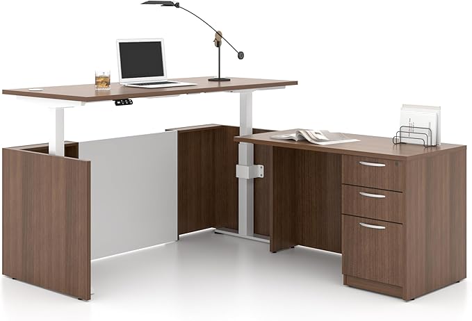 Adjustable Height Executive Standing Desk | Dual Motor Electric Sit-Stand Workstation with 4 Memory Handsetctric Sit-Stand Desk with Lockable Storage (1, L-Shape)