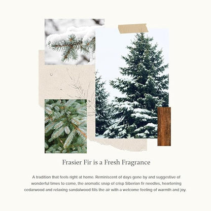 Thymes Frasier Fir Scented Candles for Home Decor – Green Heritage Holiday Candle – Notes of Siberian Fir Needles, Cedarwood & Sandalwood – Luxury Home Fragrance Gifts for Women & Men (3-Wick, 17 oz)