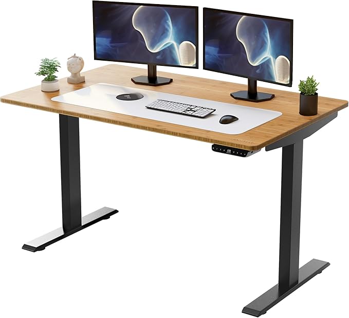 Rise Up Electric Standing Desk Adjustable Height 27-47" Dual Motor One Piece 60x30 Bamboo Large Standing Desk, Sit Stand Desk Rising Desk Home Office