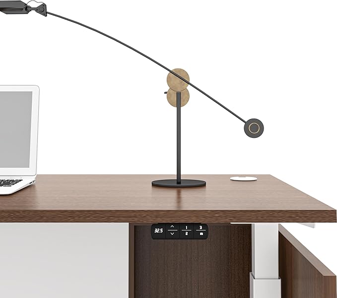 Adjustable Height Executive Standing Desk - Dual Motor Electric Sit-Stand Workstation with 4 Memory Handsetctric Sit-Stand Desk with Lockable Storage