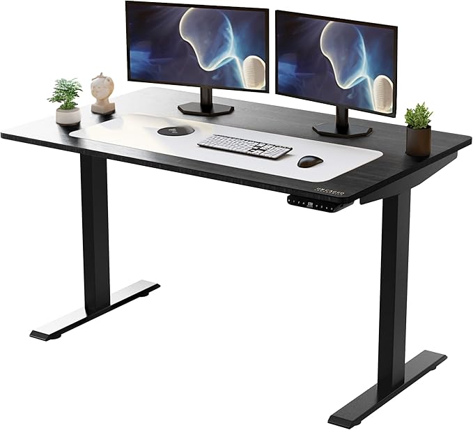 Rise Up Electric Standing Desk Adjustable Height 24-49" Dual Motor One Piece 60x30 Bamboo Large Standing Desk, Sit Stand Desk Rising Desk Home Office