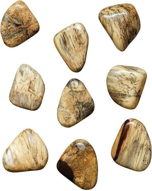 Uttermost Pebbles Set of Nine Blonde Wd Wall Decor