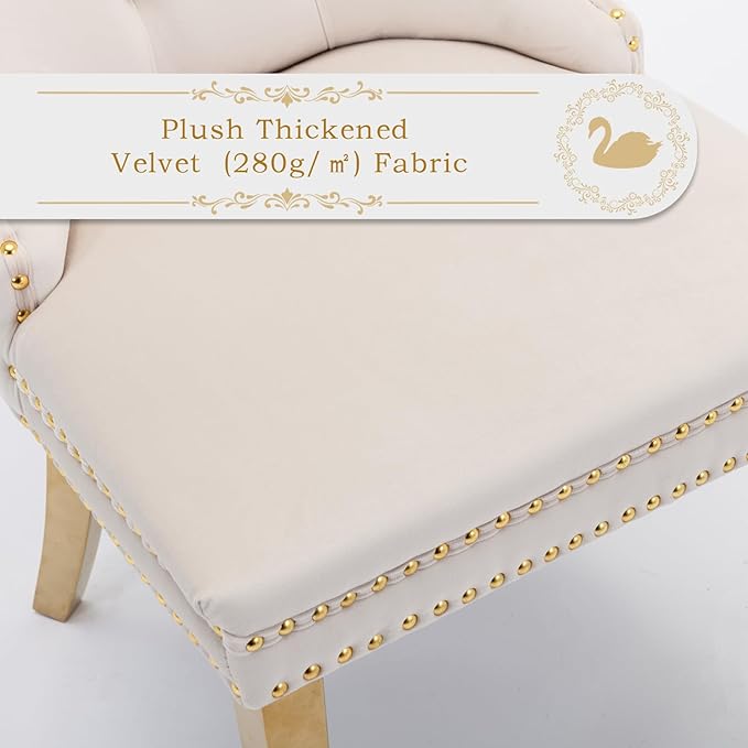 Velvet Upholstered Dining Chairs Set of 2, Modern Style Kitchen Side Chairs with Nailhead Trim and Gold Plated Leg, Metal Pulling Ring for Dining Room Living Room(Beige-Gold Plated Leg)