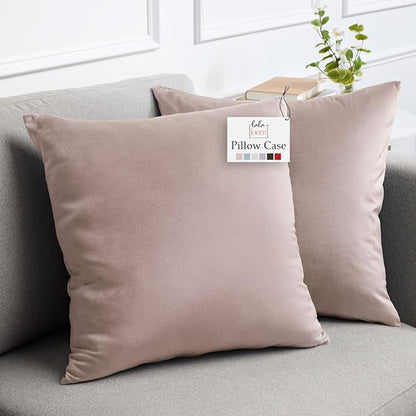 lalaLOOM Velvet Throw Pillow Covers, Set of 2, 20x20 Decorative Square Pillows Home Decor, Soft Accent Cases, Silky Machine Washable Pillowcases for Sofa, Couch, Bedroom, Living Room, Petal Pink