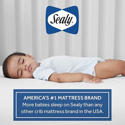 Sealy Baby Cozy Cool Hybrid Breathable Crib Mattress, GREENGUARD GOLD Certified, Made in USA, Cooling Foam, 2 Stage, Toddler Bed Fit, 204 Coils & Cotton Cover, Safety & Quality Tested, 52x28"