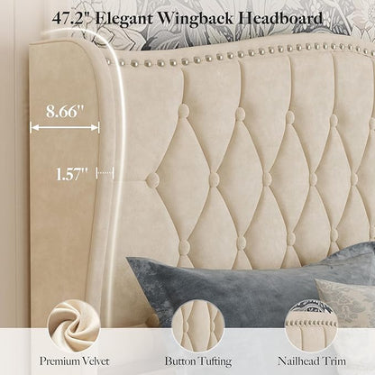 Belffin Full Size Bed Frame with Headboard, Upholstered Velvet Luxury Bed Frame with Wingback, Anti-Slide Tall Footboard, Button Tufted & Nailhead Trim, Noise-Free, No Box Spring Needed, Beige