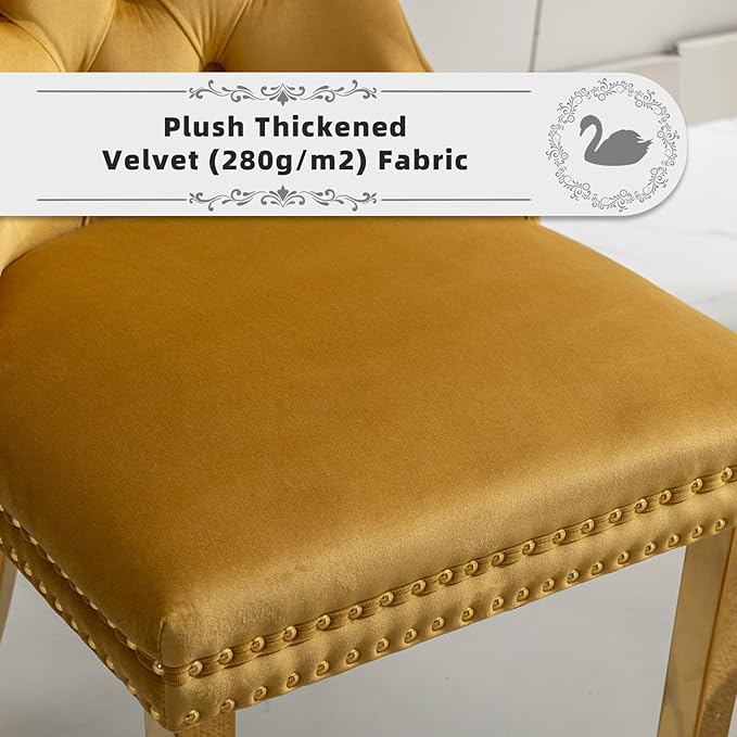 Velvet Upholstered Dining Chairs Set of 2, Modern Style Kitchen Side Chairs with Nailhead Trim and Gold Plated Leg, Metal Pulling Ring for Dining Room Living Room(Gold-Gold Plated Leg)