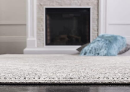 SAFAVIEH Reflection Collection Accent Rug - 2'3" x 4', Light Grey & Cream, , Non-Shedding & Easy Cleaning, Ideal for Foyer, Living Room, Bedroom (RFT668G)