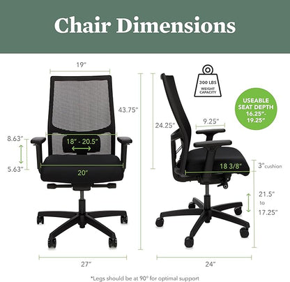 HON Ignition 2.0 Mid Back Task Chair, Spectrum Mesh, Advanced Synchro-Tilt Control, Office Chair with Lumbar Support, Height and Width Adjustable Arms, Black Frame, Blueberry