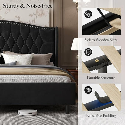Belffin Queen Bed Frame with Headboard, Luxury Upholstered Velvet Platform Bed with Wingback, Button Tufted & Nailhead Trim, Anti-Slide Tall Footboard, No Box Spring Needed, Noise-Free, Black