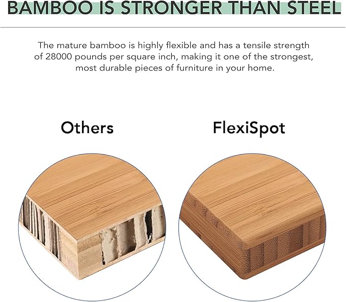 FlexiSpot E6 Bamboo 3-Stage Dual Motor 72 x 30 Electric Standing Desk Sit Stand Up Desk, Holds 220 lbs, Adjustable Height w/ Memory Presets, Solid Bamboo Desktop & Black Frame, Ships in 2 Boxes
