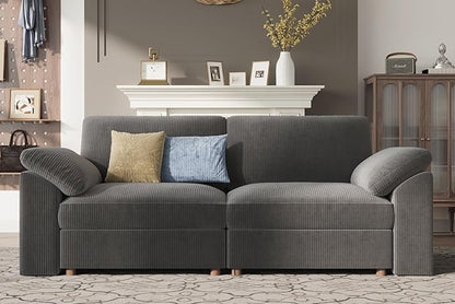 EASE MOOSE Comfty 2 Seat Couch,FSC Certified Modern Deep Seat Sectional Modular for Living Room