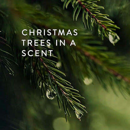 Thymes Frasier Fir Gilded Gold 3-Wick Candle - Scented Candle with a Crisp Just-Cut Forest Fragrance - Luxury Home Fragrance - Elegant Holiday Candle - Gold Jar Candle (17 oz)