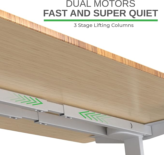 Rise Up Electric Standing Desk Adjustable Height 24-49" Dual Motor One Piece 60x30 Bamboo Large Standing Desk, Sit Stand Desk Rising Desk Home Office