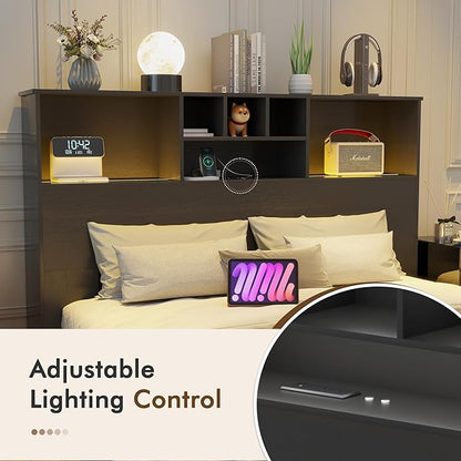 Apicizon 65" Headboard Queen Size Bed, Black Storage Headboard with USB Charging Station, with Adjustable LED Lights for Bedroom, Fashion Black