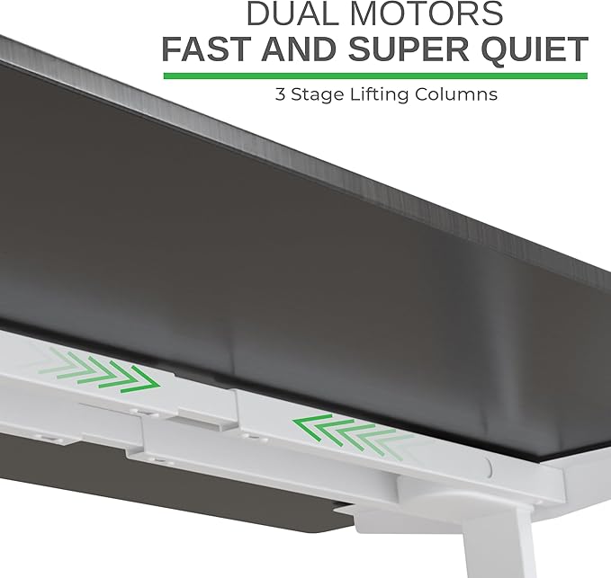 Rise Up Electric Standing Desk Adjustable Height 24-49" Dual Motor One Piece 60x30 Bamboo Large Standing Desk, Sit Stand Desk Rising Desk Home Office