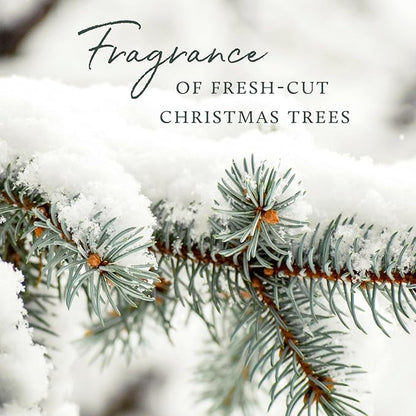 Thymes Frasier Fir Scented Candles for Home Decor - Green Pillar Candles for Women & Men - Place on Candle Holder - Luxury Home Fragrance Gifts (Molded Pinecone Pillar)