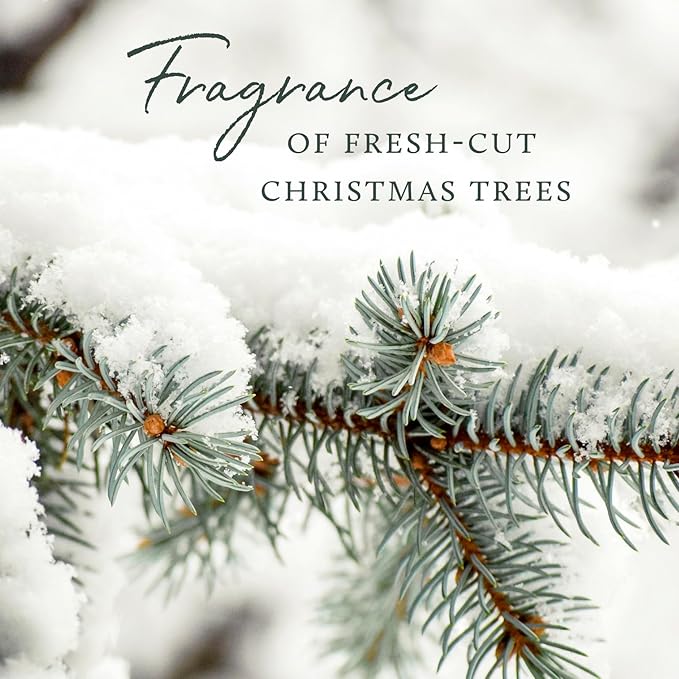 Thymes Frasier Fir Candle – Pine Needle Design – Holiday Scented Candle – Notes of Crisp Siberian Fir, Cedarwood & Sandalwood – Luxury Home Fragrance Gifts for Women & Men – Silver (Statement, 2 oz)