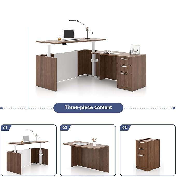 Adjustable Height Executive Standing Desk | Dual Motor Electric Sit-Stand Workstation with 4 Memory Handsetctric Sit-Stand Desk with Lockable Storage (1, L-Shape)