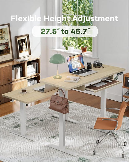 Marsail Electric Standing Desk with Ergonomic Keyboard Tray, Adjustable Desk with 27.5” to 46.7” Height Range, 4 Memory Presets, Smooth and Quiet Lifting, 55 x 24 inch Adjustable Height,TZESD15Modern
