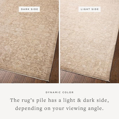Loloi Chris Loves Julia Palma Collection PLM-01 Bark/Natural 2'-7" x 10'-0" Runner Rug Vintage Style Boho Living Room Bedroom Carpet