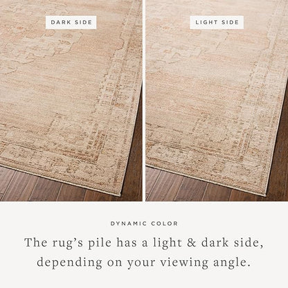 Loloi Chris Loves Julia Palma Collection PLM-02 Spice/Natural 3'-6" x 5'-6" Accent Rug Vintage Style Boho Living Room Bedroom Carpet
