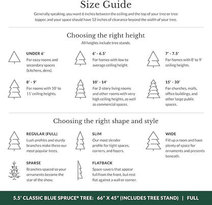Balsam Hill 5.5 ft Unlit Classic Blue Spruce - Artificial Christmas Tree with Premium Stand for Indoor Holiday Decorating
