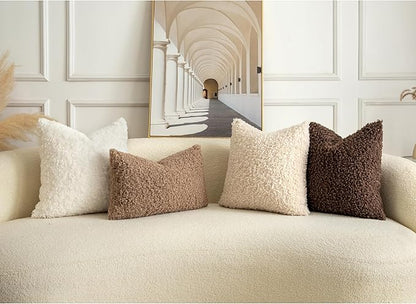 Pack of 2 Curly Teddy Wool Faux Fur Throw Pillow Covers Fuzzy Accent Soft Sherpa Pillowcases Sheepskin Fleece Decorative Cushion Case for Sofa Couch Living Room 16x16 Inch Chocolate