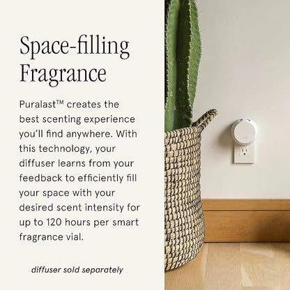 Pura & Brooklyn Candle Studio Home Scent Refill - Smart Air Diffuser - Up to 120-Hours of Luxury Fragrance per Refill - Home Essential - Clean & Safe Diffuser Fragrance - 2 Pack, Santorini