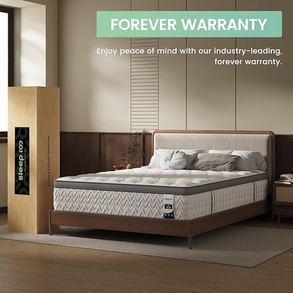 Queen Mattress 10 Inch – Hybrid Mattresses for Back Pain, Extra Lumbar & Shoulder Support, Fiberglass-Free & No Odor, 365-Night Trial