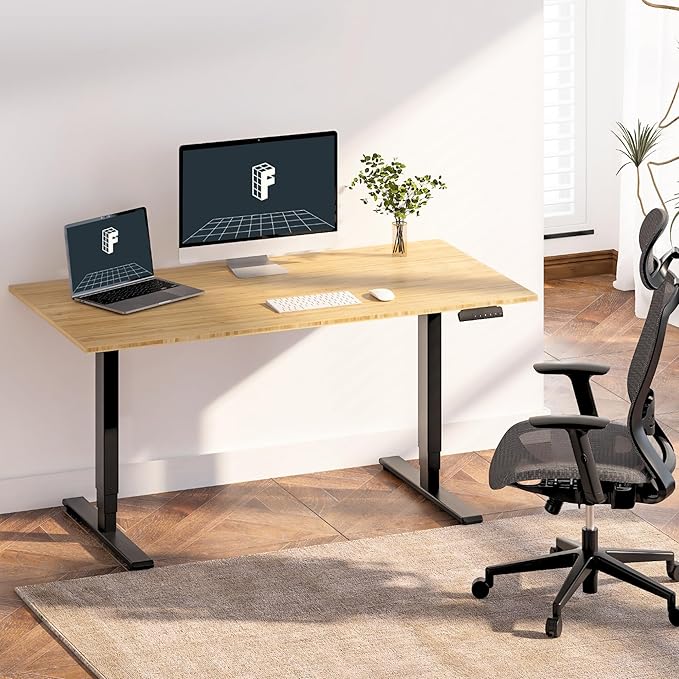 FlexiSpot E6 Bamboo 3-Stage Dual Motor 72 x 30 Electric Standing Desk Sit Stand Up Desk, Holds 220 lbs, Adjustable Height w/ Memory Presets, Solid Bamboo Desktop & Black Frame, Ships in 2 Boxes