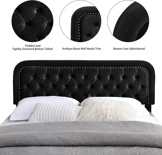 Tufted Upholstered Headboard,Button Solid Wood HeadBoards with Adjustable Height,Modern Performance Velvet Bed Head Boards,Easy Install&Nailhead (Black, Queen)