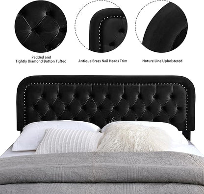 Tufted Upholstered Headboard,Button Solid Wood HeadBoards with Adjustable Height,Modern Performance Velvet Bed Head Boards,Easy Install&Nailhead (Black, Queen)