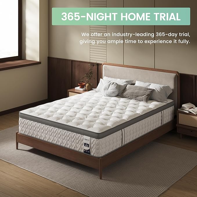 Queen Mattress 14 Inch – Hybrid Mattresses for Back Pain, Extra Lumbar & Shoulder Support, Fiberglass-Free & No Odor, 365-Night Trial