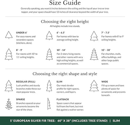 Balsam Hill European Silver Fir - Elegant Artificial Christmas Tree with True Needle Foliage Available Unlit or with LED Clear Lights, Unlit, 5'