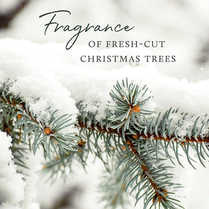 Thymes Frasier Fir Candle - Heritage Pine Needle Luminary Scented Candles - Elegant Pine Candle - Crisp Siberian Fir, Cedarwood & Sandalwood - Holiday Candles - Christmas Decor (Small, 7.5 oz)