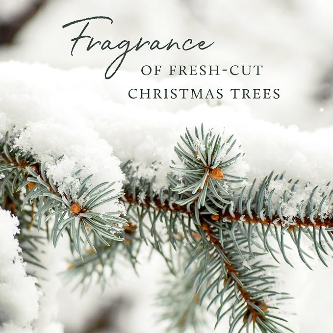 Thymes Frasier Fir Scented Candles for Home Decor – Green Heritage Holiday Candle – Notes of Siberian Fir Needles, Cedarwood & Sandalwood – Luxury Home Fragrance Gifts for Women & Men (3-Wick, 17 oz)