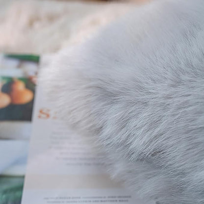 Neelvin Light Grey Faux Fur Cozy Fluffy Double-Sided Decorative Throw Pillow Covers 16x16 inch Set of 2,Velvet Pillowcase Cushion Case for Sofa Couch