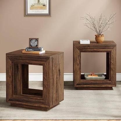 Tribesigns Rustic Wood End Table, 2 Tiered Square Side Table with Storage Shelf, Industrial Sofa Side Table for Living Room, Entrance (2, Brown)