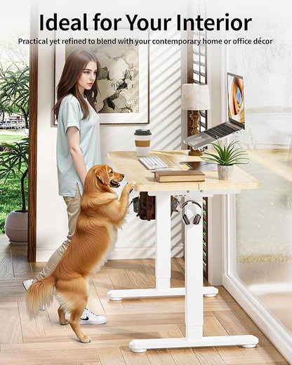 BIZUM Standing Desk Electric Adjustable Computer Desk-Stand up Desk Office Gaming Home Office Memory Desks 48x24 inches Maple